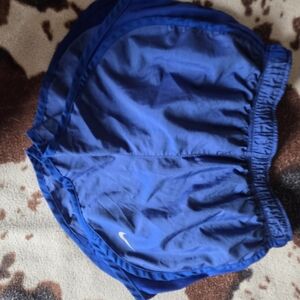 Nike Blue Athletic Shorts